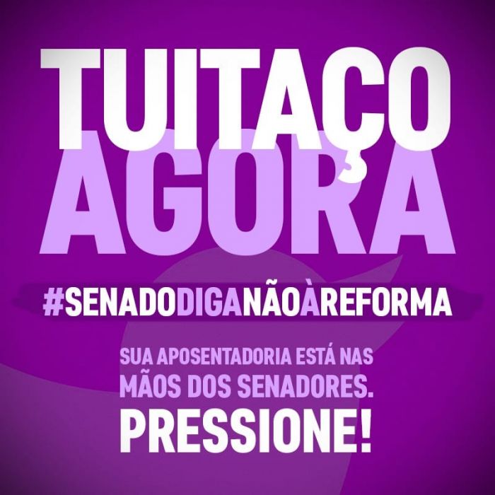 SENADO